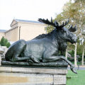 Garden Decorative Life Size Bronze Moose Sculpture